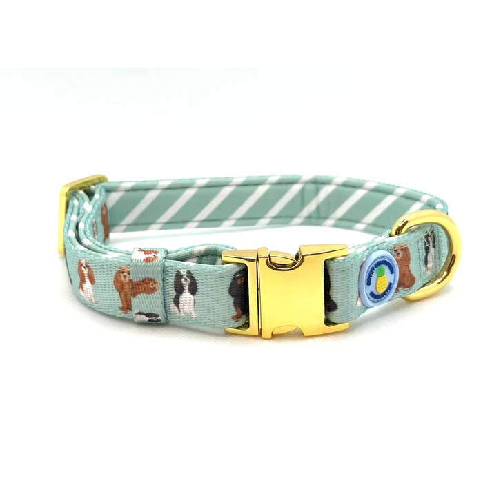 Cavalier Dog Collar - Mint Green for wholesale by Covey Collection