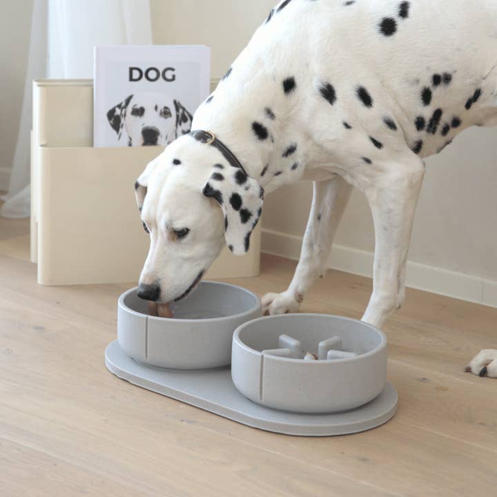 PINO - Wholesale Pet Bowl - Dog - Slow Feeder Dog Bowls