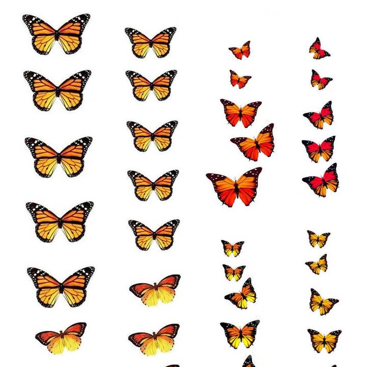 Aki - TRANSPARENTE para venta al por mayor de DIPPY COW NAILS