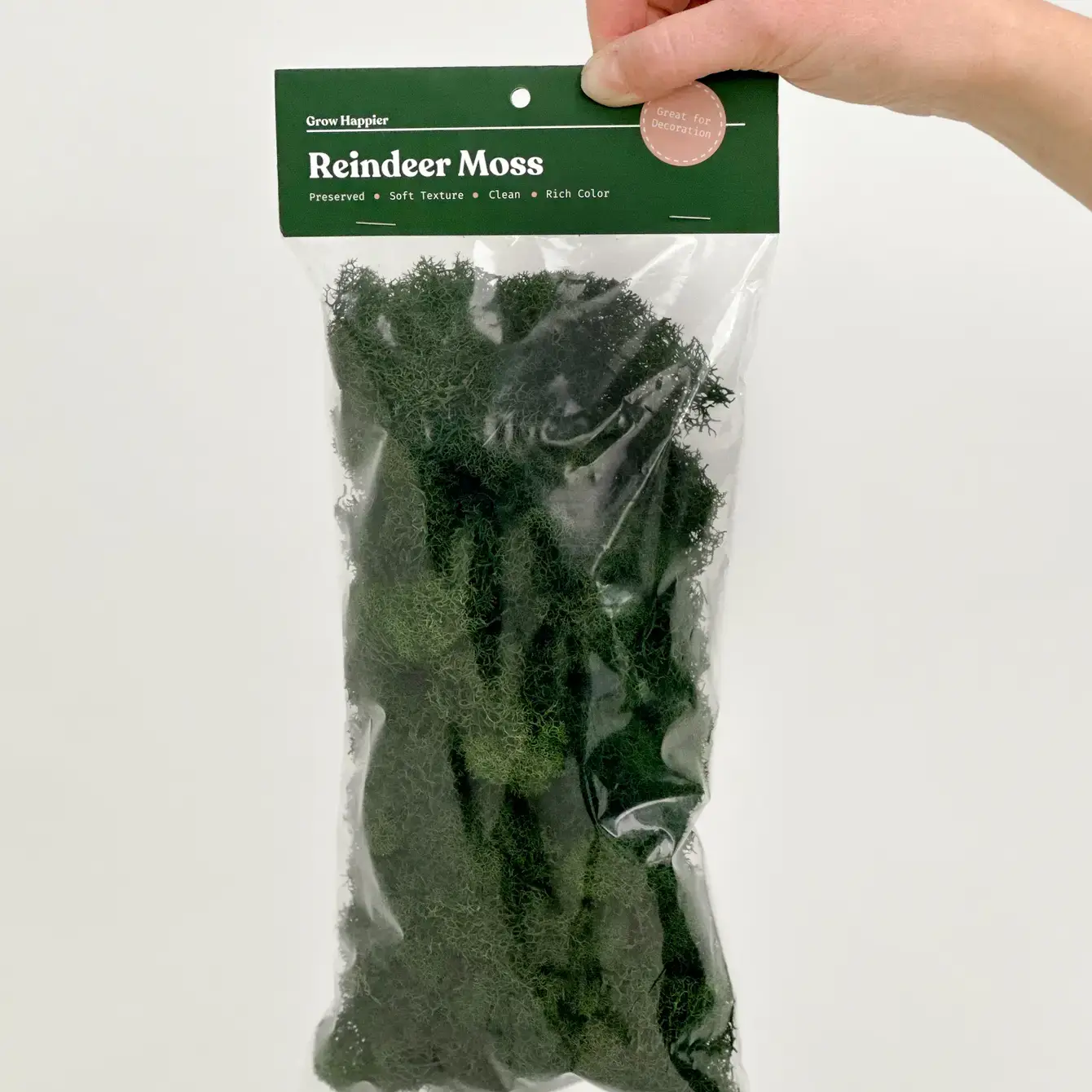 The Plant Supply - Wholesale Planting/Potting Soil - Preserved Reindeer Moss | Moss for Plants and Crafts4