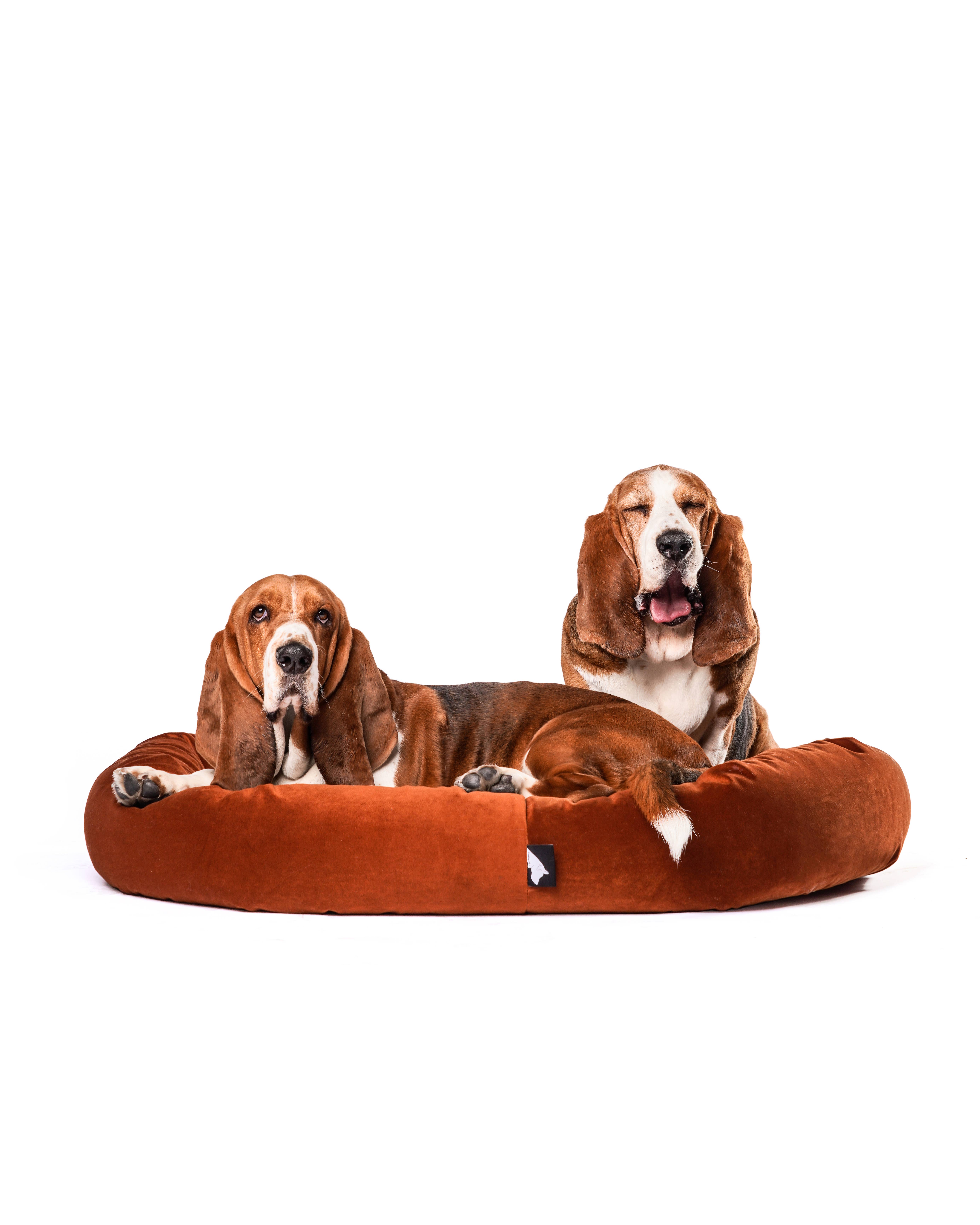 Roxbury PET - Vente Panier – chien - Le lit rond The Robertson