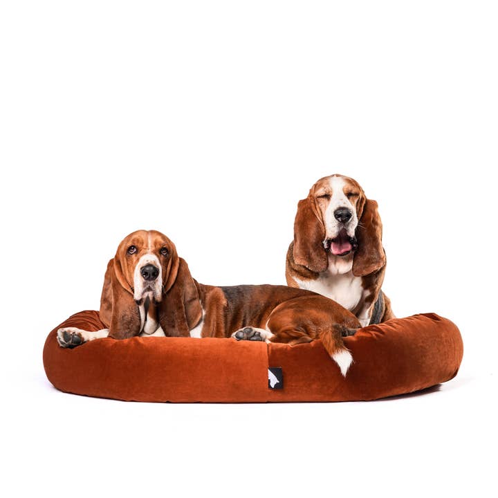 Roxbury PET - Wholesale Pet Bed - Dog - The Robertson Round