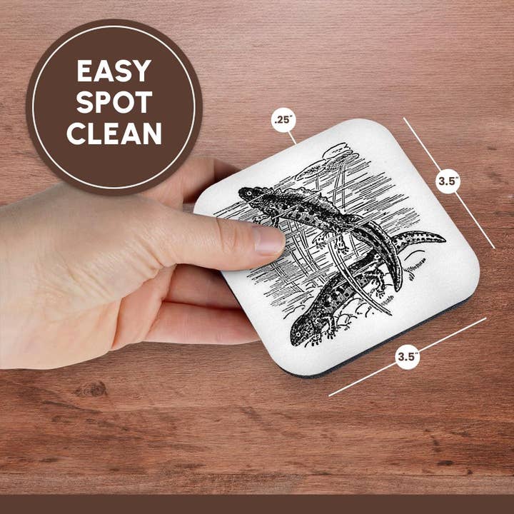 3dRose - Wholesale Coasters - 3dRose, Newts - Black and White Vintage Illustration - Salamander Amphibian, Coaster13