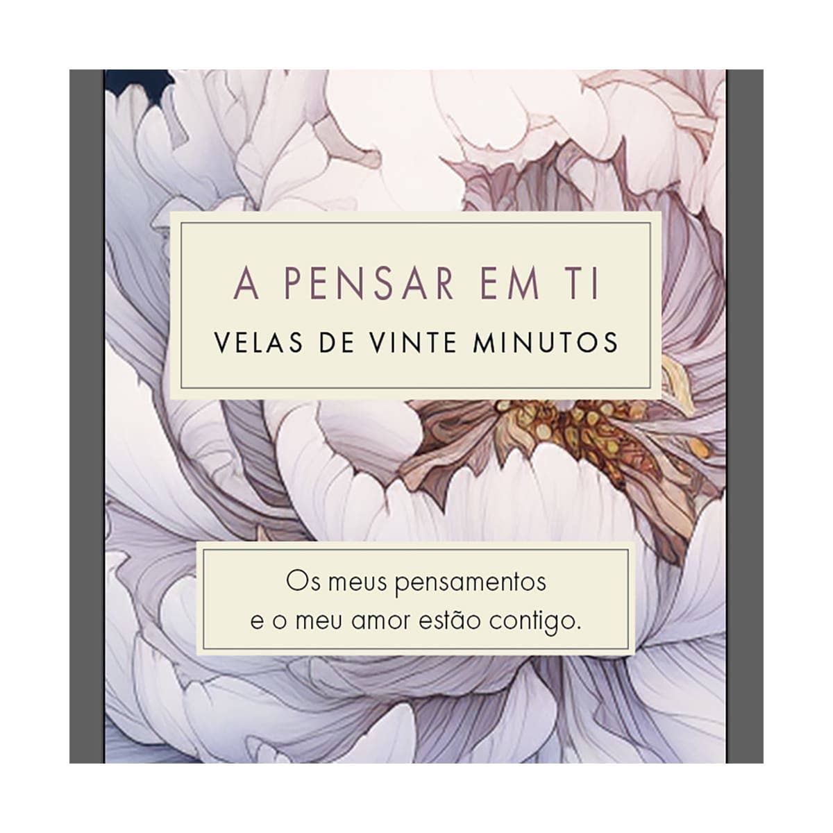 Cotton & Grey - Wholesale Tapered Candle/Candlestick - Signature Collection BUNDLE (Floral) PT17