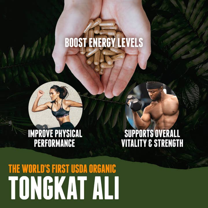 Organic Muscle – wholesale Oral supplement/vitamin – Tongkat Ali Root Supplement
