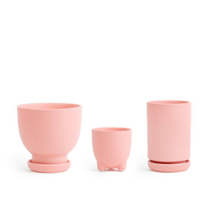 Momma Pots - Wholesale Plant Pot - Plant Junkie Pack - 16 pc/cspk2