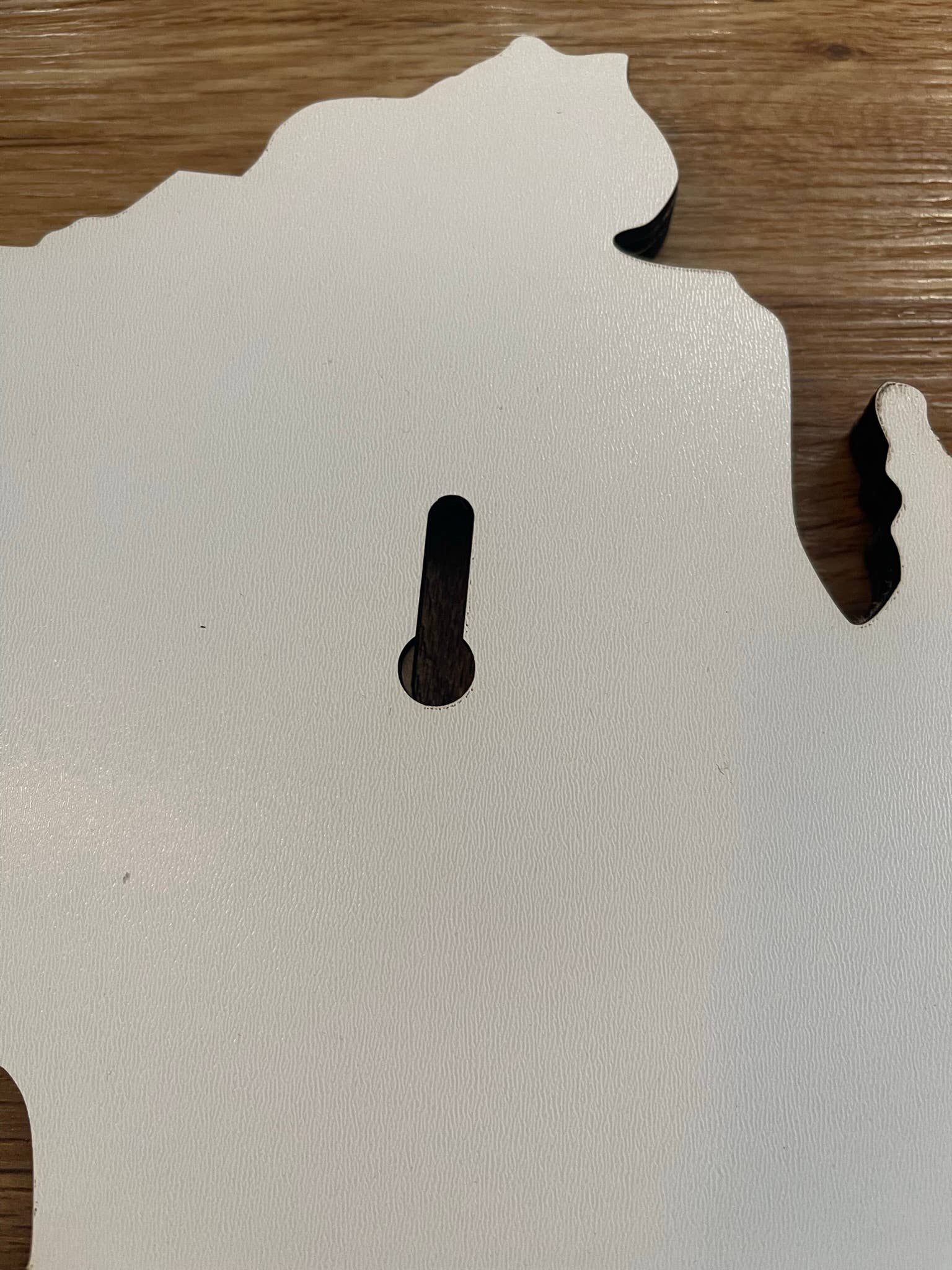 Michigan Proud Gifts - Wholesale Board Game - Michigan Shaped Cribbage Game Board4