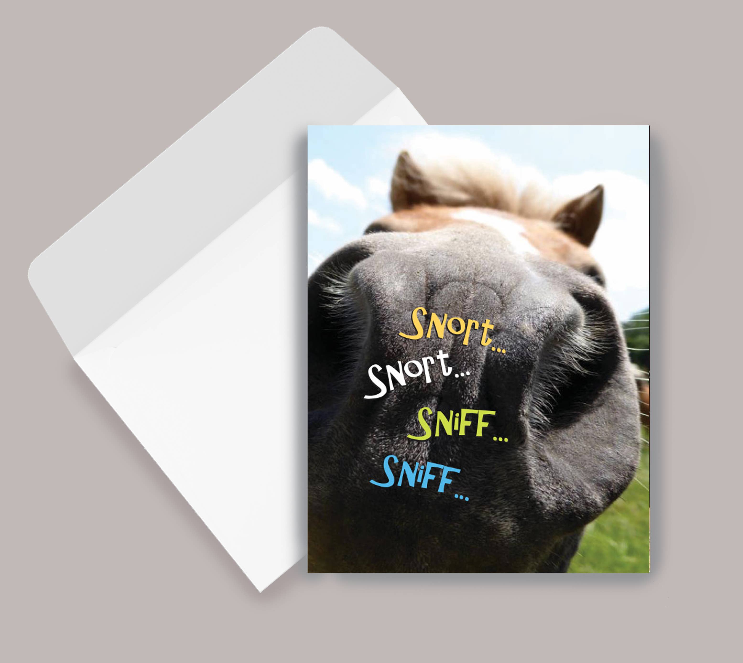 Horse Hollow Press - Wholesale Birthday Card - Horse Greeting Birthday Card / Sniff, Snort, Snort / Funny7