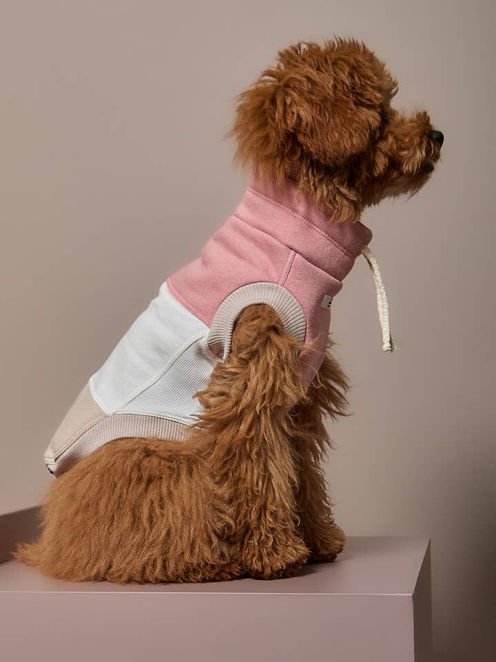 Farbblock-Rollkragenweste SHEAR für den Großhandel von The Striped Dog