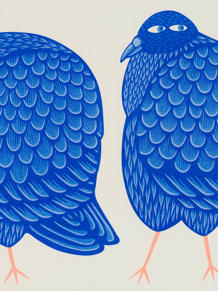 Taubenzüchter für den Großhandel von Strangford