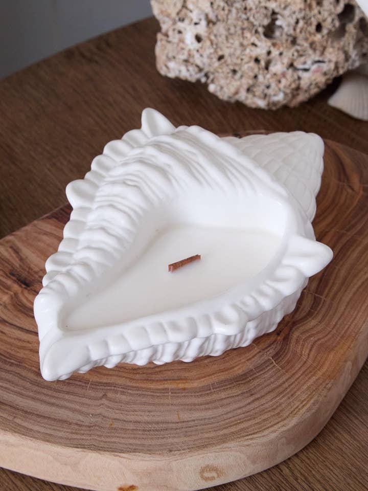 Bougie Coquillage Artisanale : Pot Nautique en Gypse pour la vente par Aroma Therapy Candle