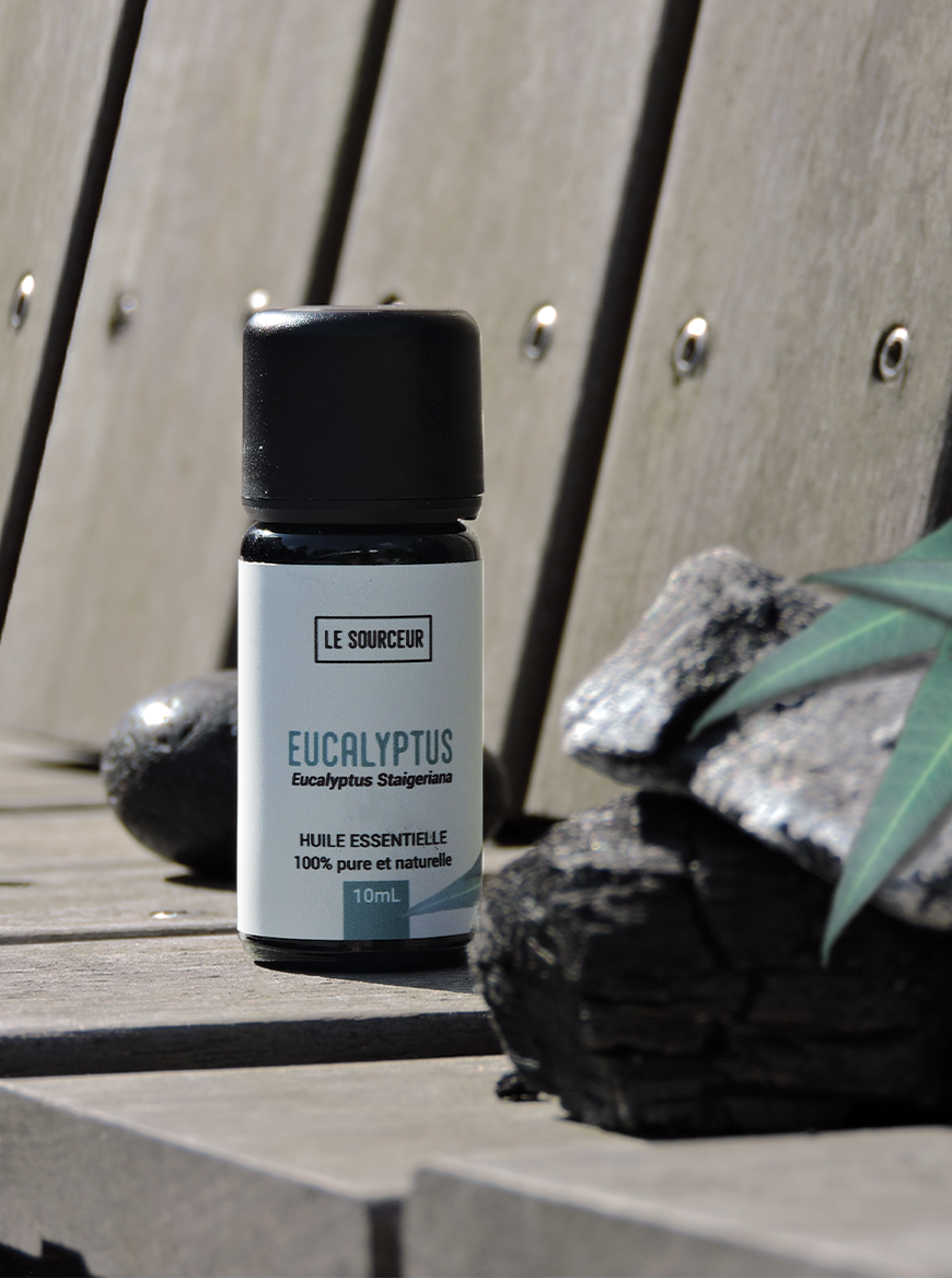 Le Sourceur - Vendita all'ingrosso Olio essenziale - OLIO ESSENZIALE DI EUCALIPTO STAIGERIANA1