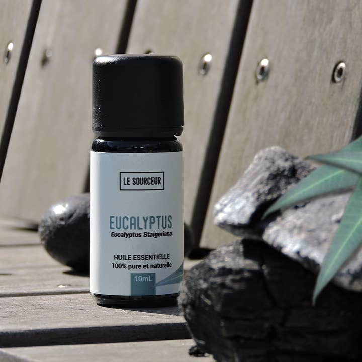 Le Sourceur - Vendita all'ingrosso Olio essenziale - OLIO ESSENZIALE DI EUCALIPTO STAIGERIANA1