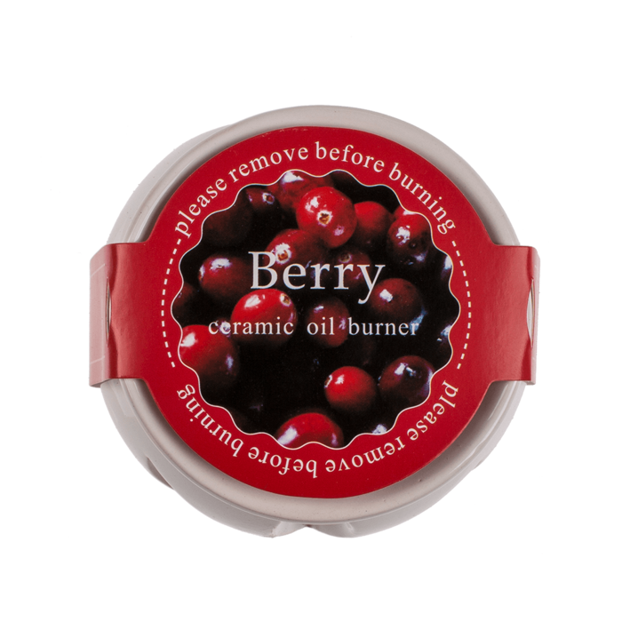 Out of the blue KG - Wholesale Wax Warmer - White ceramic aroma lamp with scented melts,1