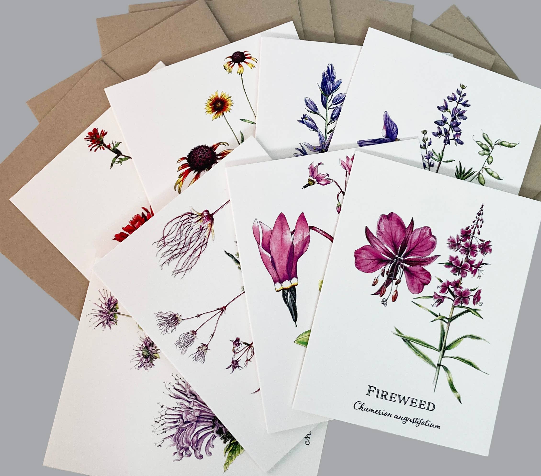 Madrona Press - Wholesale Everyday Greeting Card - Wildflower Card Set - 8 assorted flowers3