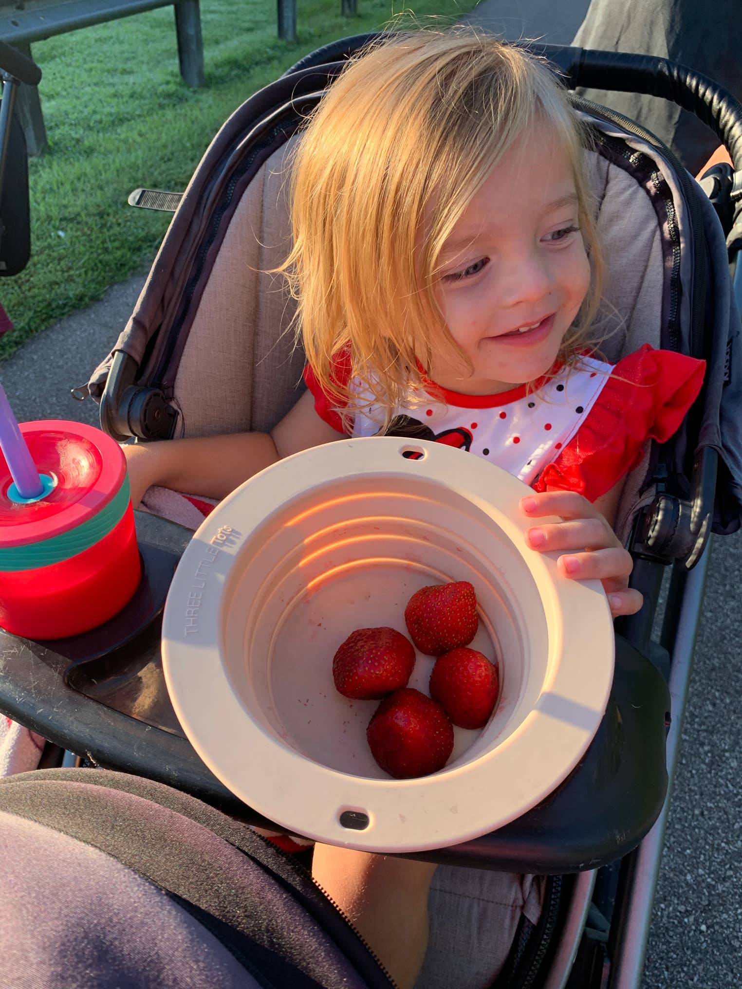Three Little Tots - Wholesale Bowl - Collapsible Bowl for Travel or Home37