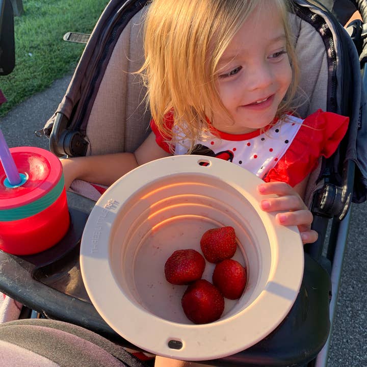 Three Little Tots - Wholesale Bowl - Collapsible Bowl for Travel or Home37