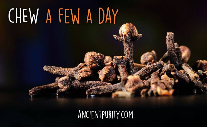 Ancient Purity – wholesale Herbs – Cloves Chewable | Whole Gloves | Health Hack3