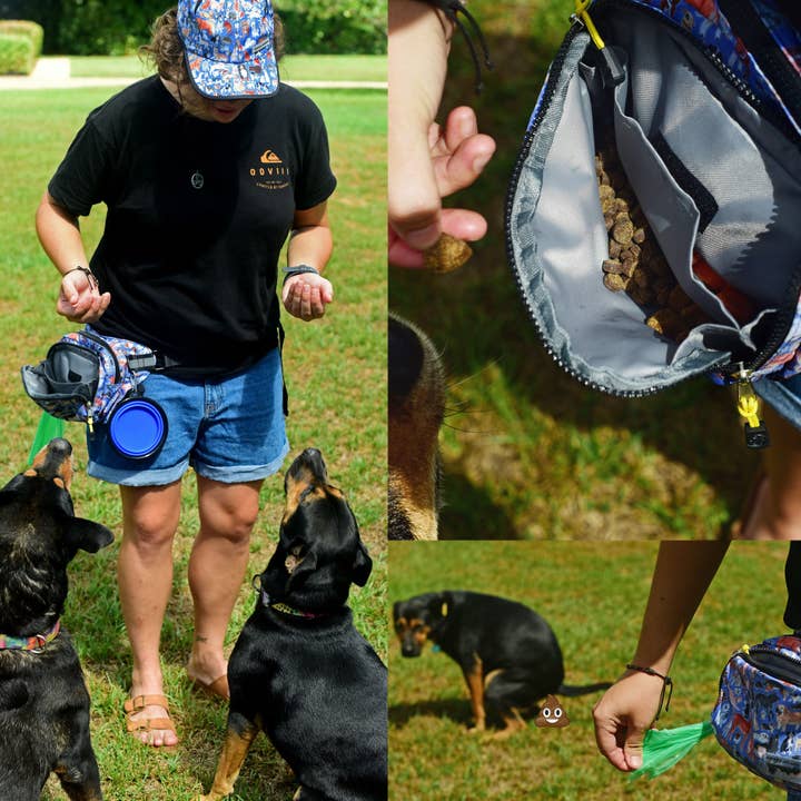 Sipsey Wilder - Wholesale Belt Bag - Unisex - Harbor Haze Rover Hip Pack 2.013