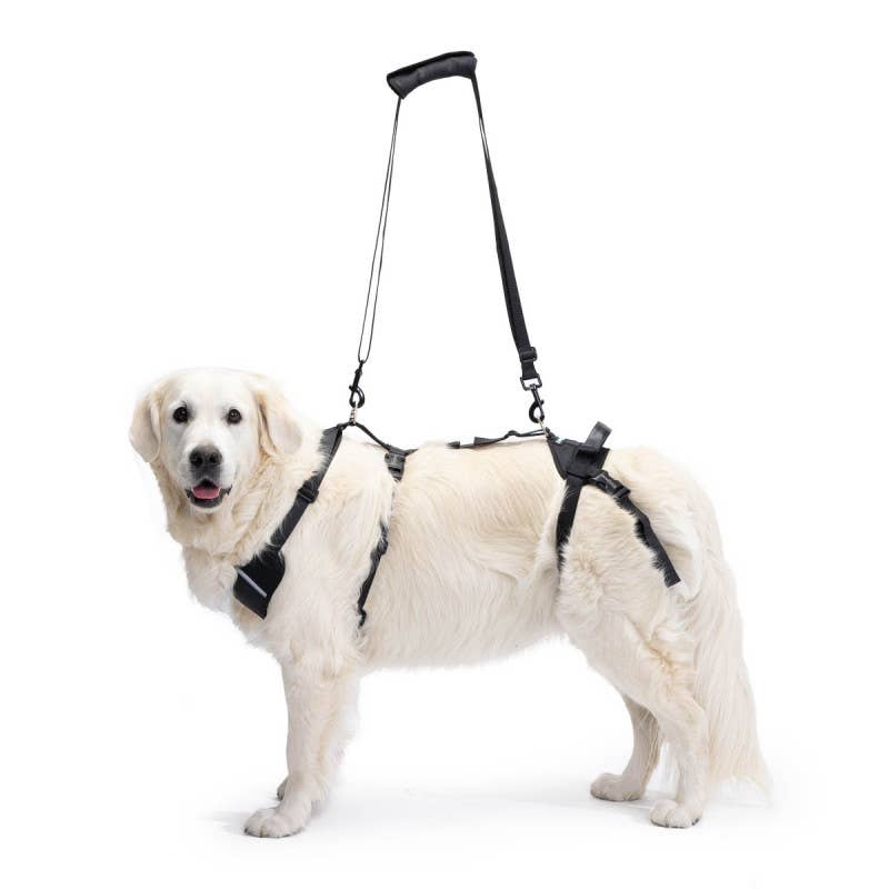Ortocanis – wholesale Pet harness – Dog – Ortocanis Full Body Dog Harness0