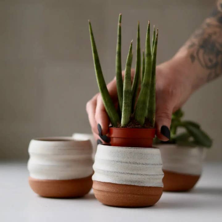 Gravesco Pottery – wholesale Kruka – Blandade små planteringskrukor | 2 tum handgjord keramik