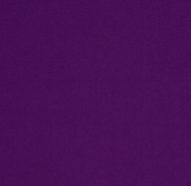 Mardi Gras Creations - Wholesale T-Shirt - Unisex - T-Shirt - Alstyle (Small - X-Large)3