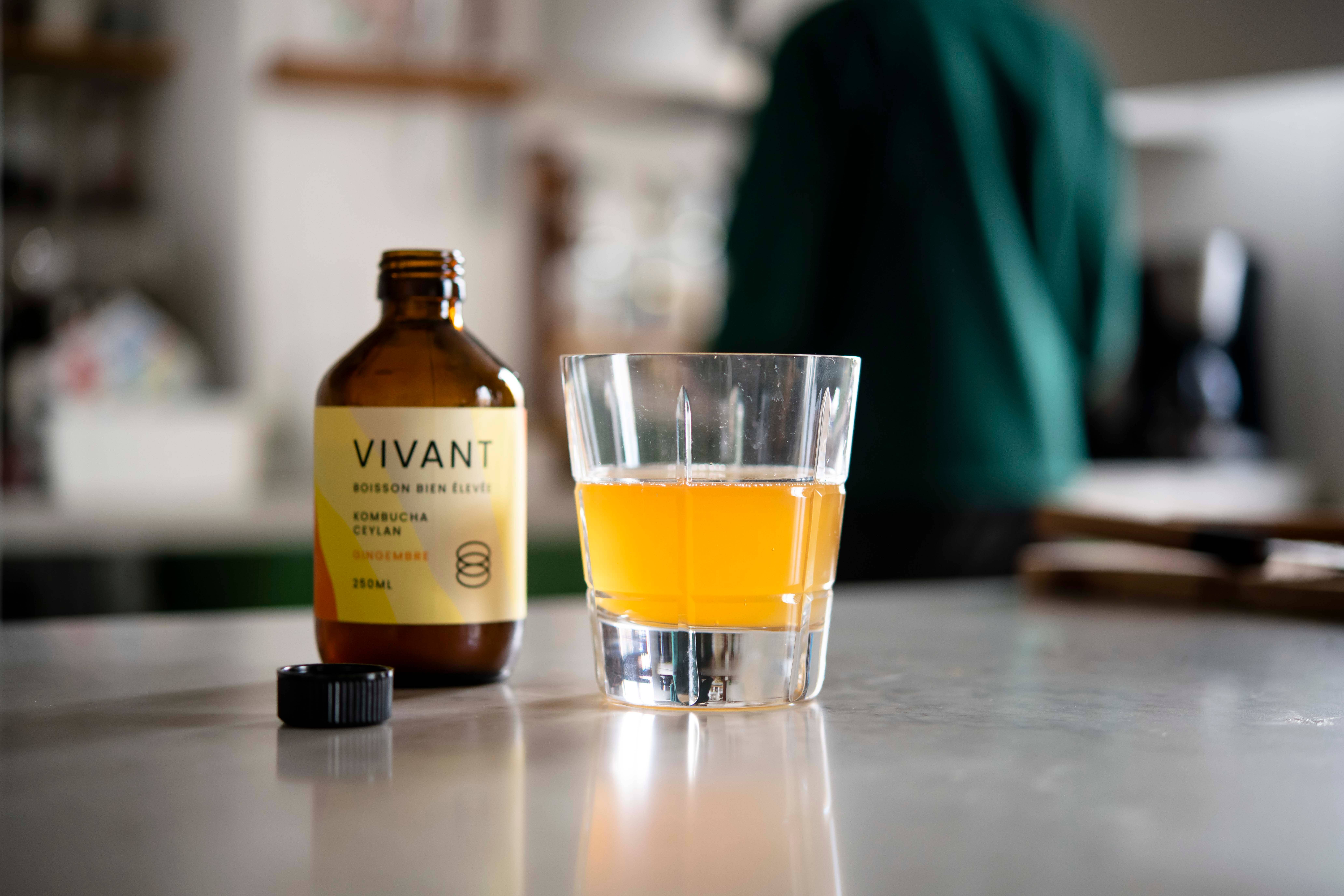 VIVANT Kombucha - Wholesale Kombucha - Organic kombucha ceylan tea, ginger - Vegan - Gluten free2