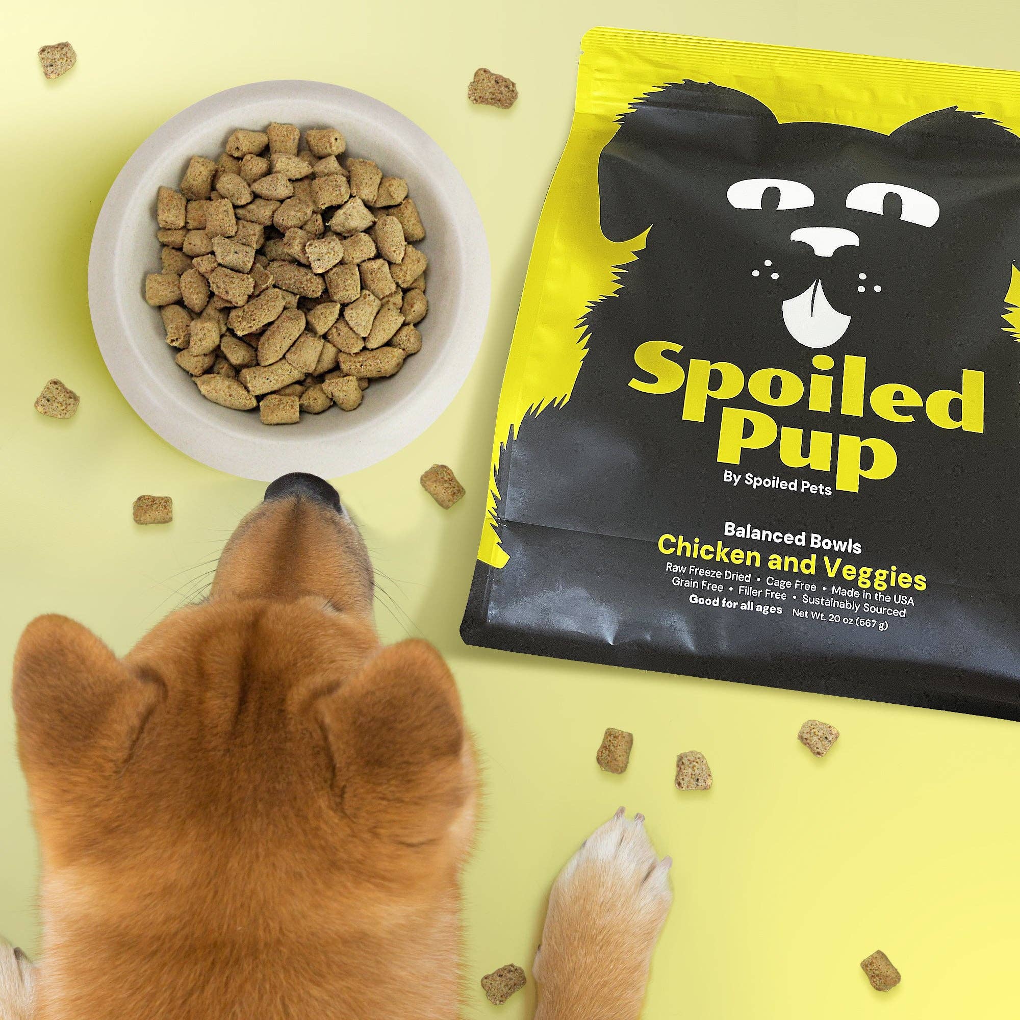 Spoiled Pets - Wholesale Pet Food - Dog - Chicken and Veggies Balanced Bowl2