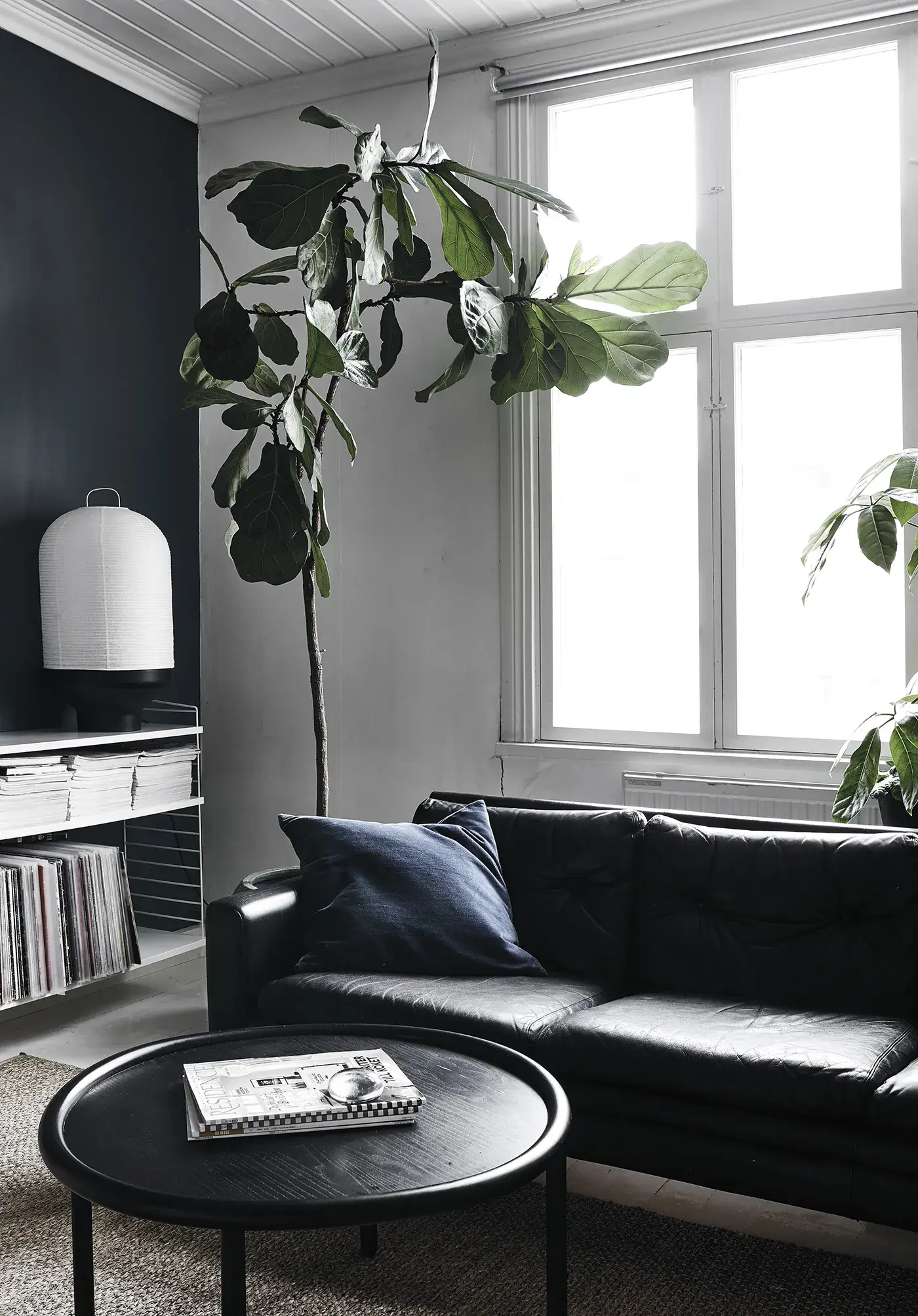 Cozy Publishing - Vente Livre sur la maison et le jardin - Green Home Book - Intérieurs inspirants centrés sur les plantes3