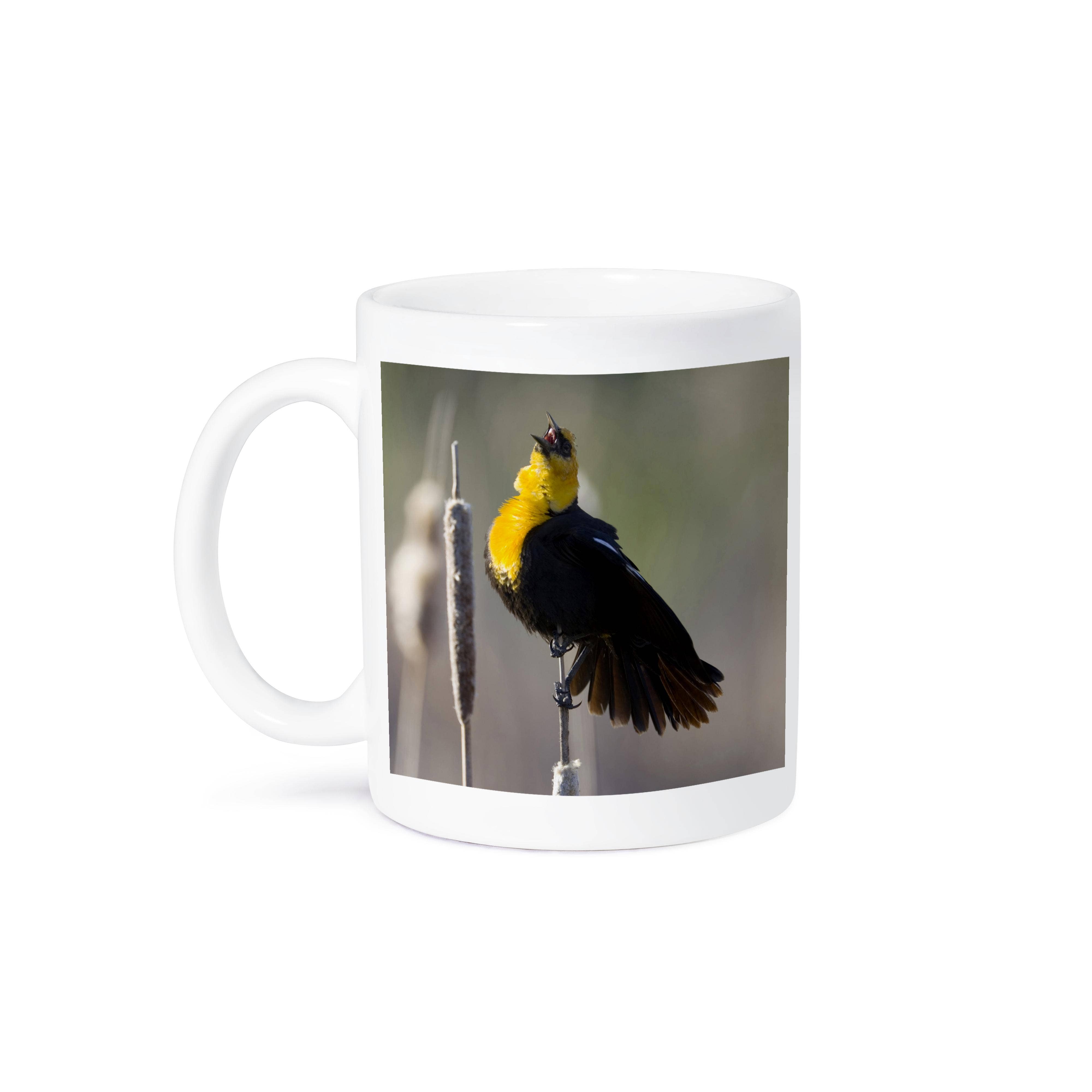 3dRose - Wholesale Coffee Mug - 3dRose, Utah, Cache Valley, Yellow-headed blackbird - US45 SSM0225 - Scott T. Smith, Mug8