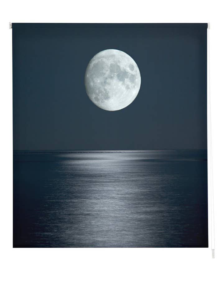 Estor Enrollable Transucido Estampado Paisajes para venta al por mayor de ZEBRA TEXTIL, SL