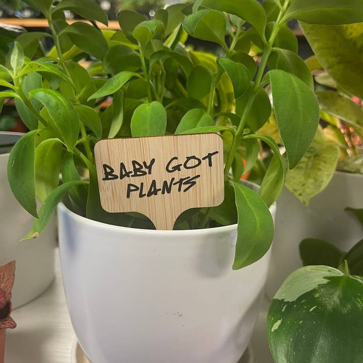 Baby fik planter for engroshandel hos Crafts At Stake