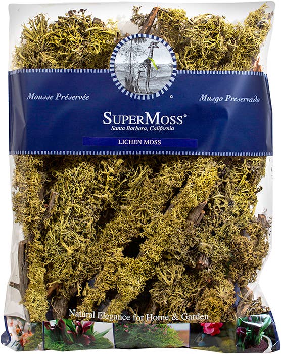 SuperMoss - Wholesale Artificial Plant - Branched Wolfen Lichen3