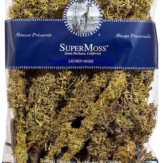 SuperMoss - Wholesale Artificial Plant - Branched Wolfen Lichen3