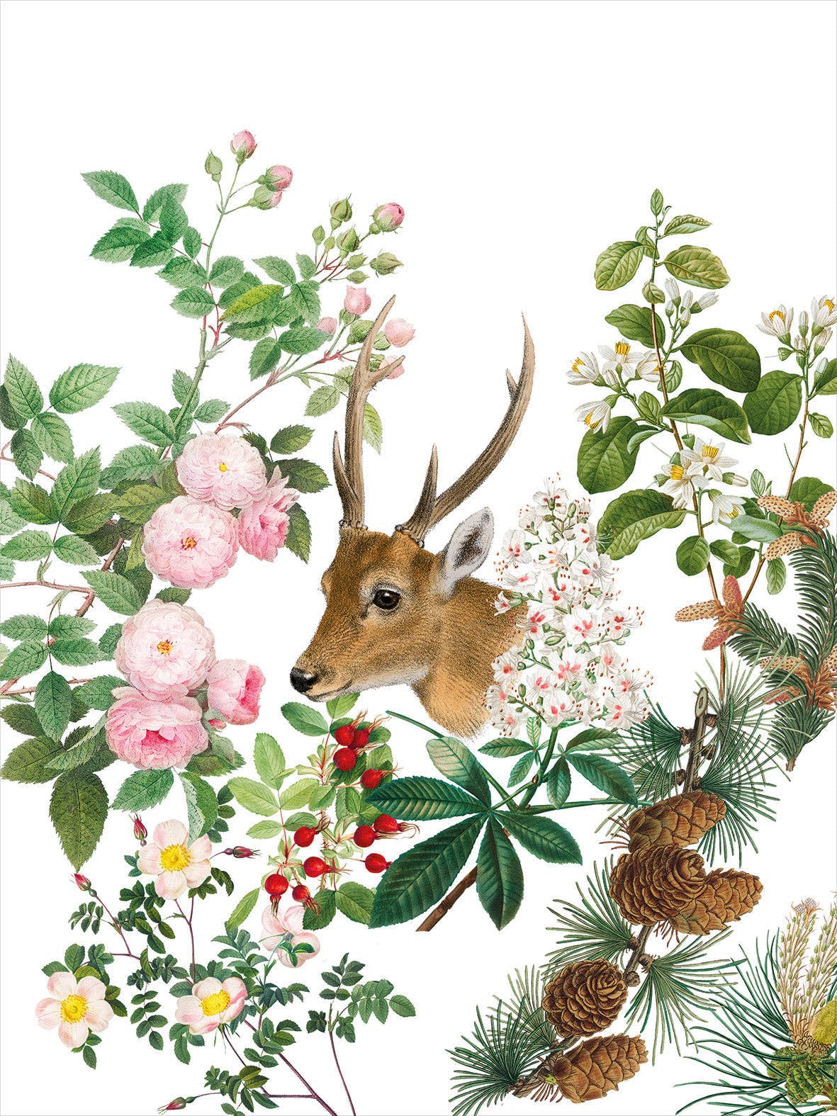 The Napking - Vente Torchons - Torchons de cuisine Cervi 100 % fabriqués en Italie