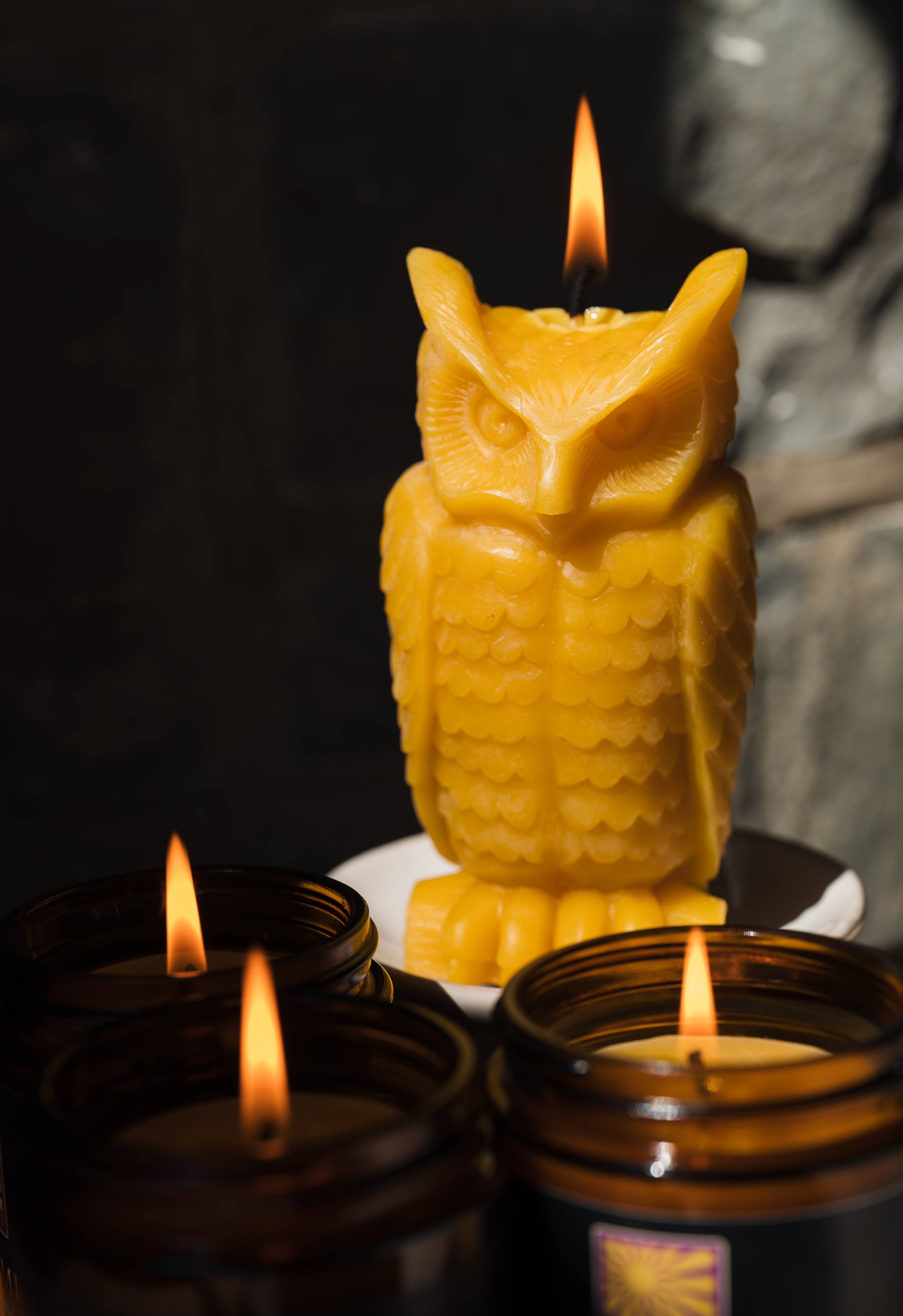 Sunbeam Candles, Inc - Wholesale Novelty Candle - Beeswax Wise Owl0