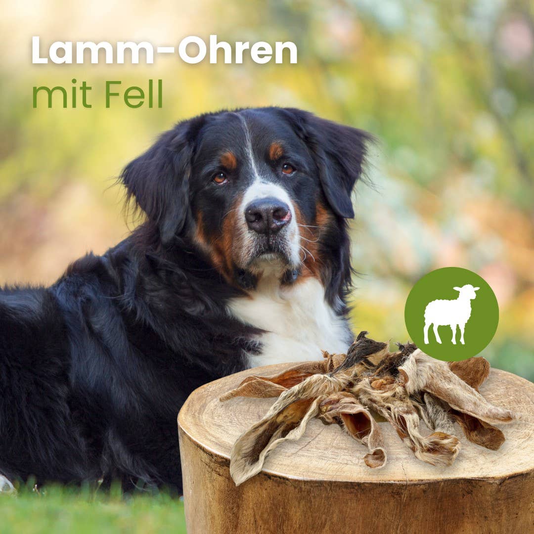 Kauartikel.com GmbH - Wholesale Pet Bone/Rawhide - Dog - Lamb ears with fur1