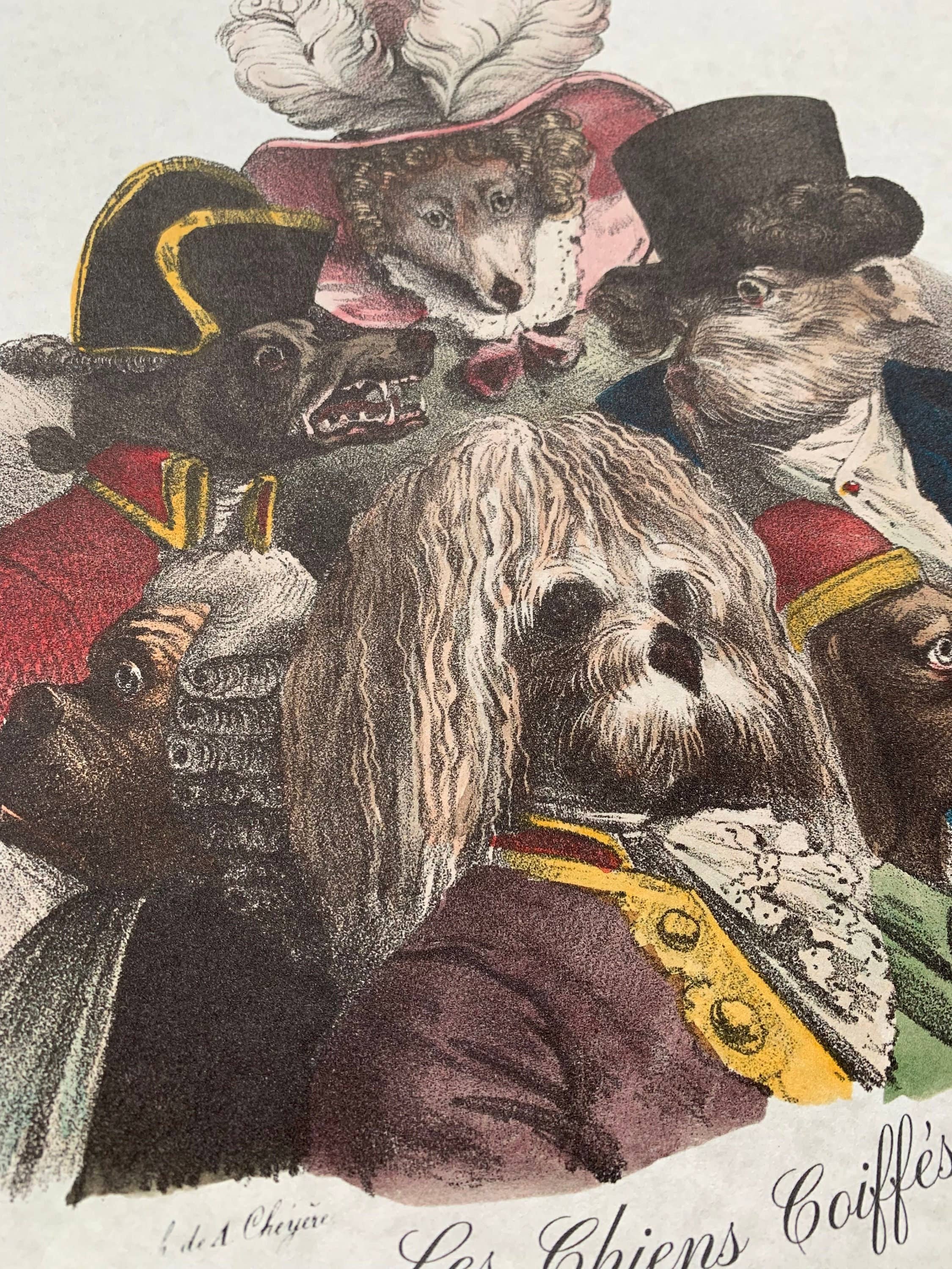 Magnifique Hearts – Großhandel Kunstdruck – Kunstdrucke, niedliche Haustiere, Vintage-Stil, Katzen und Hunde3