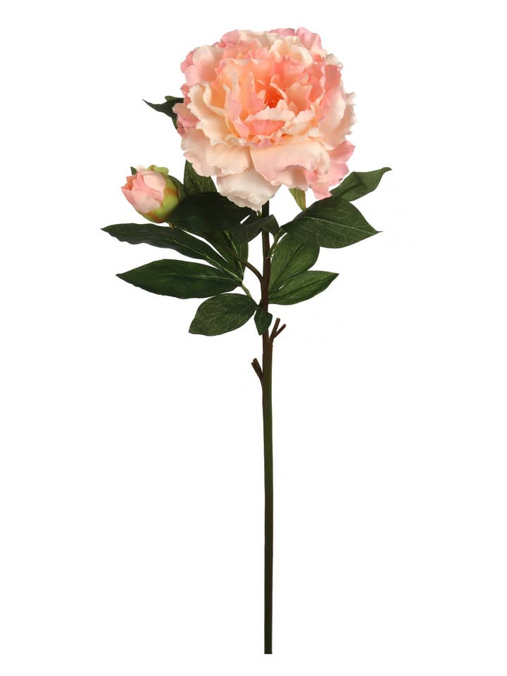 4pcs 30" Peony Stem for wholesale by Larksilk