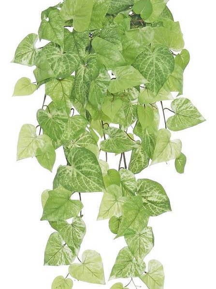 Potato Leaf Bush/Vine, 29", 101 Leaves for wholesale by Select Artificials, Inc.