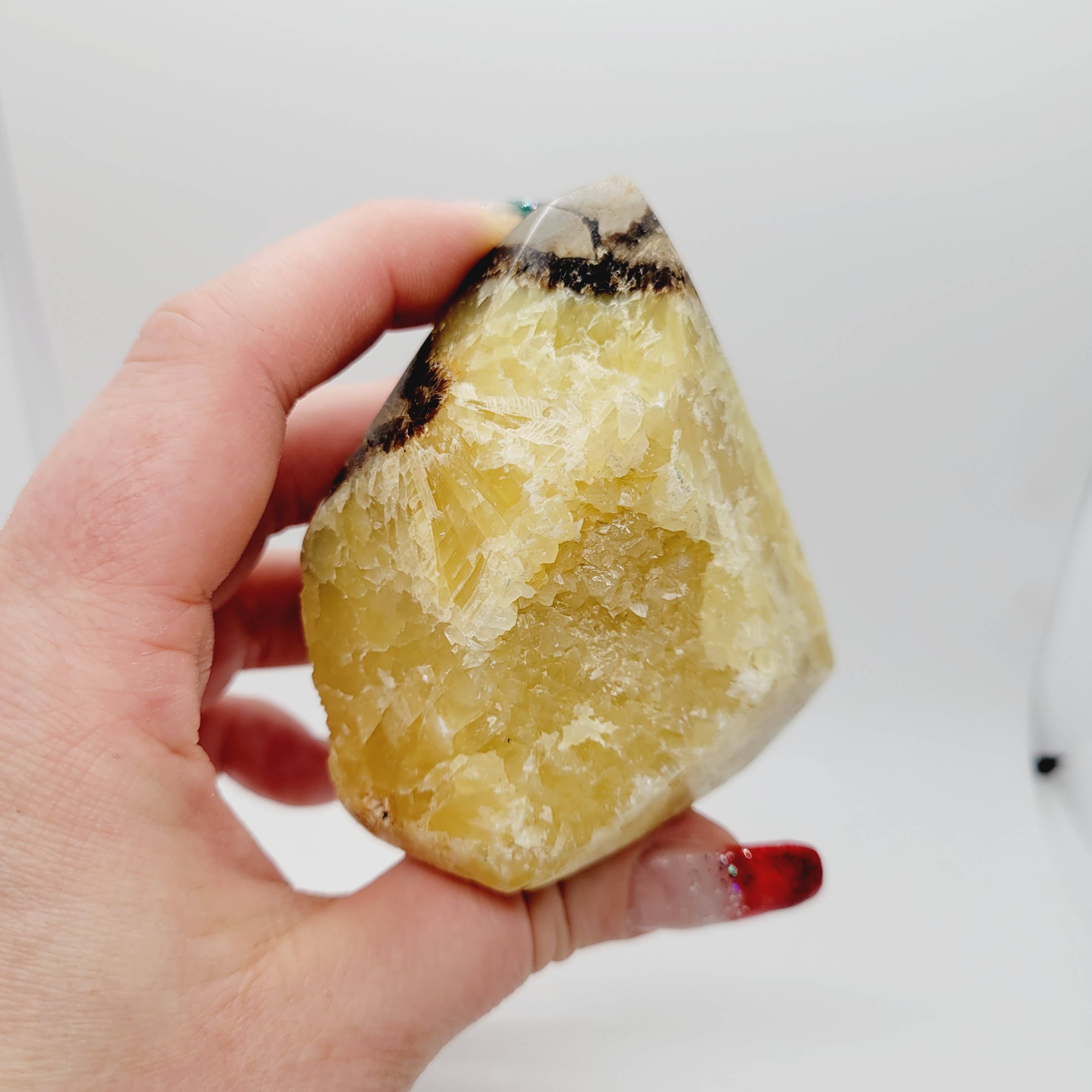 The Raven's Edge - Wholesale Spiritual Stone/Crystal - Septarian Stone Free form Crystal Standing Free form6