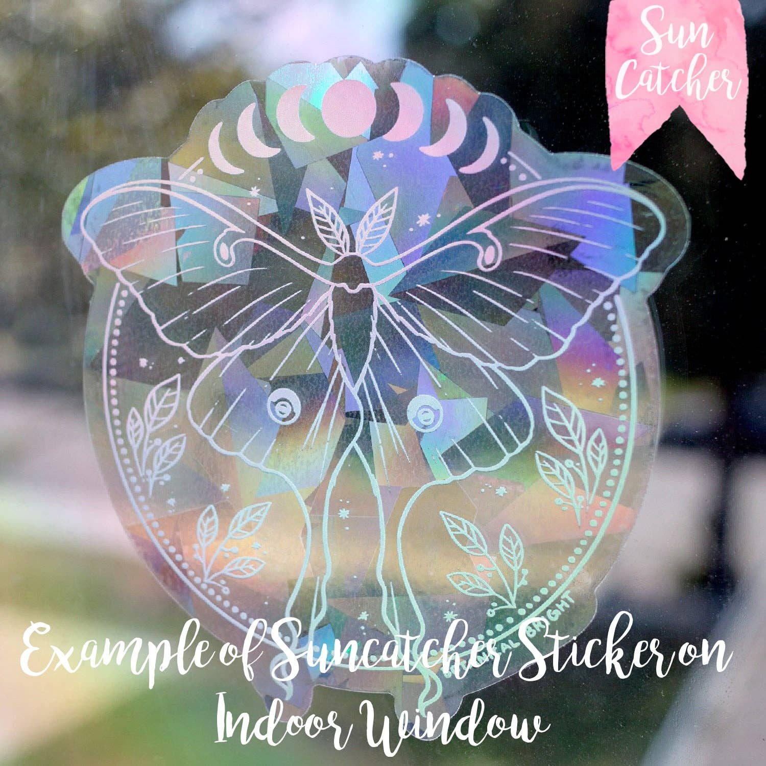 Botanical Bright - Wholesale Suncatcher - Monarch Butterfly Sun Catcher Rainbow Maker Window Sticker5