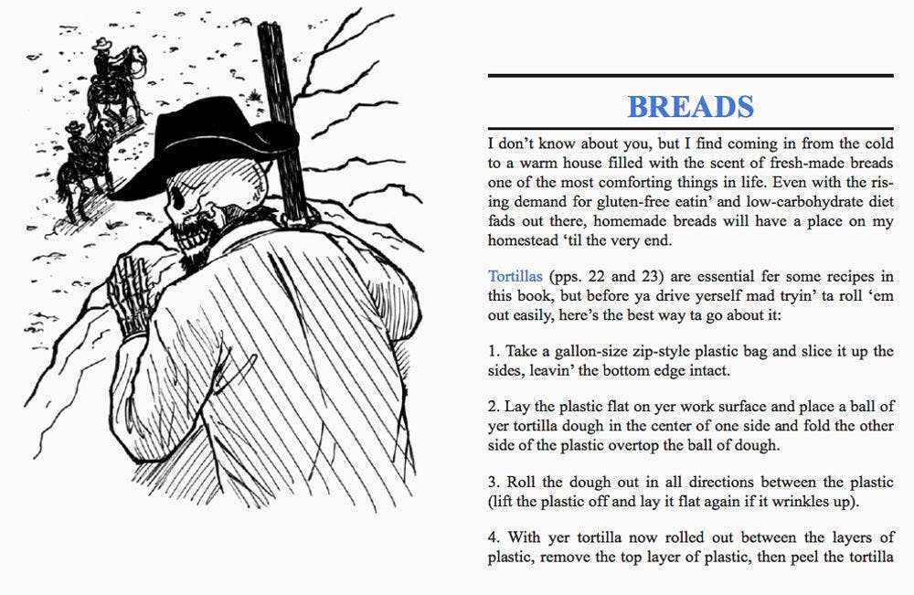 Microcosm Publishing & Distribution - Wholesale Cookbooks & Food - Hot Damn & Hell Yeah: Vegan Tex-Mex & Southern Eats3