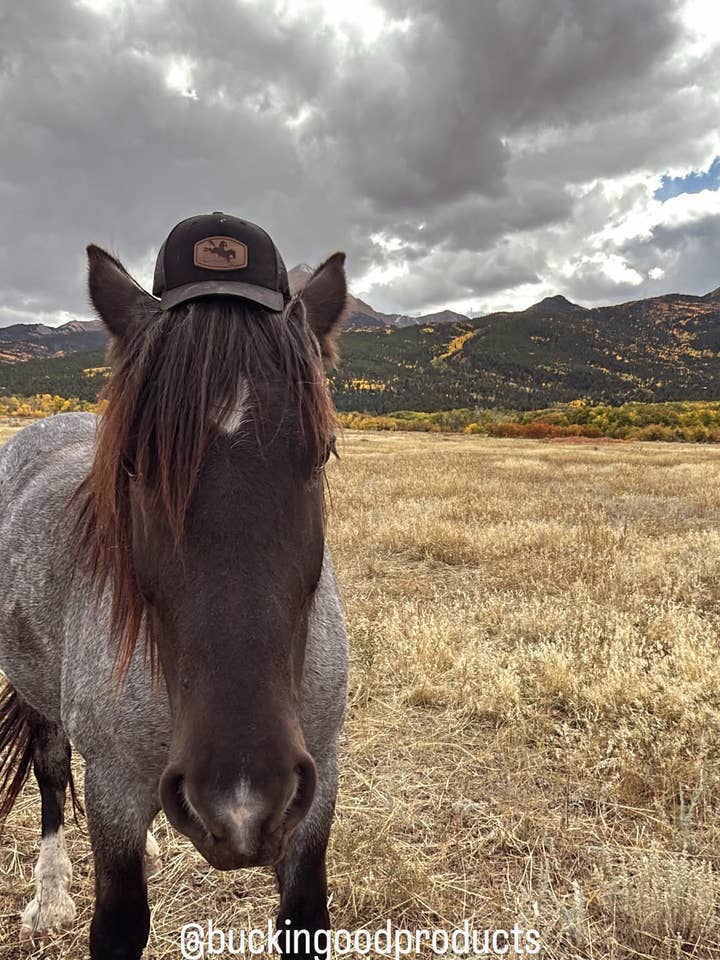 Buckin' Good Cowgirl Hat; Black Trucker for wholesale by buckin’ good products