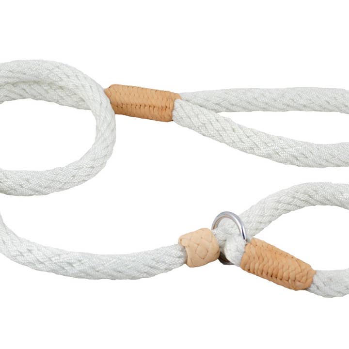 Alvalley - Wholesale Pet Leash - Dog - Nylon Slip Lead With Stopper220