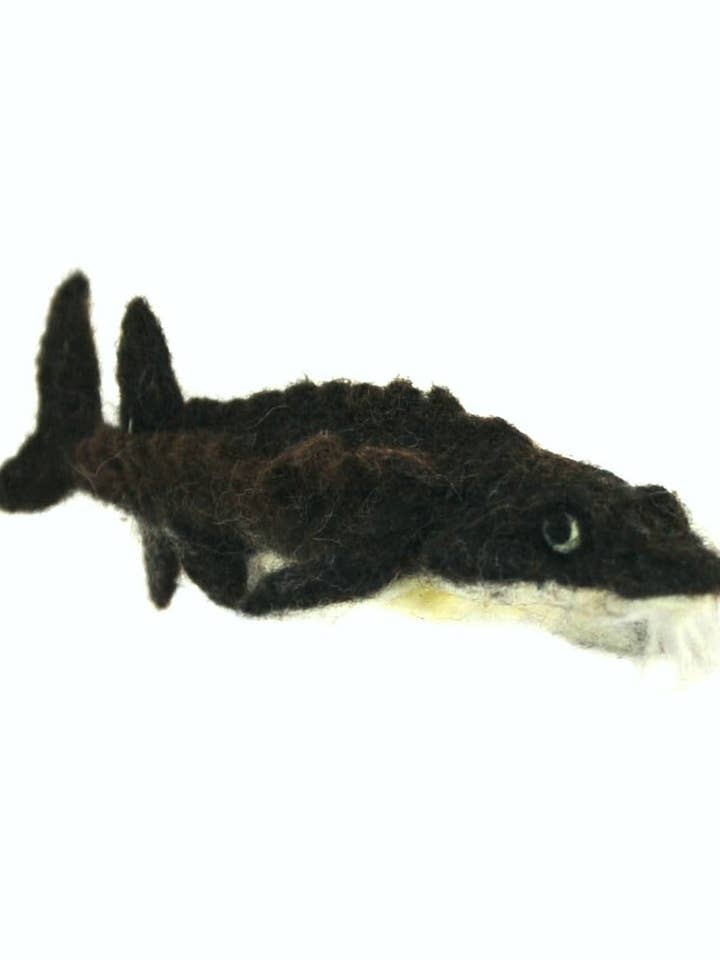 Storione per la vendita all'ingrosso da parte di Lanart Alpaca