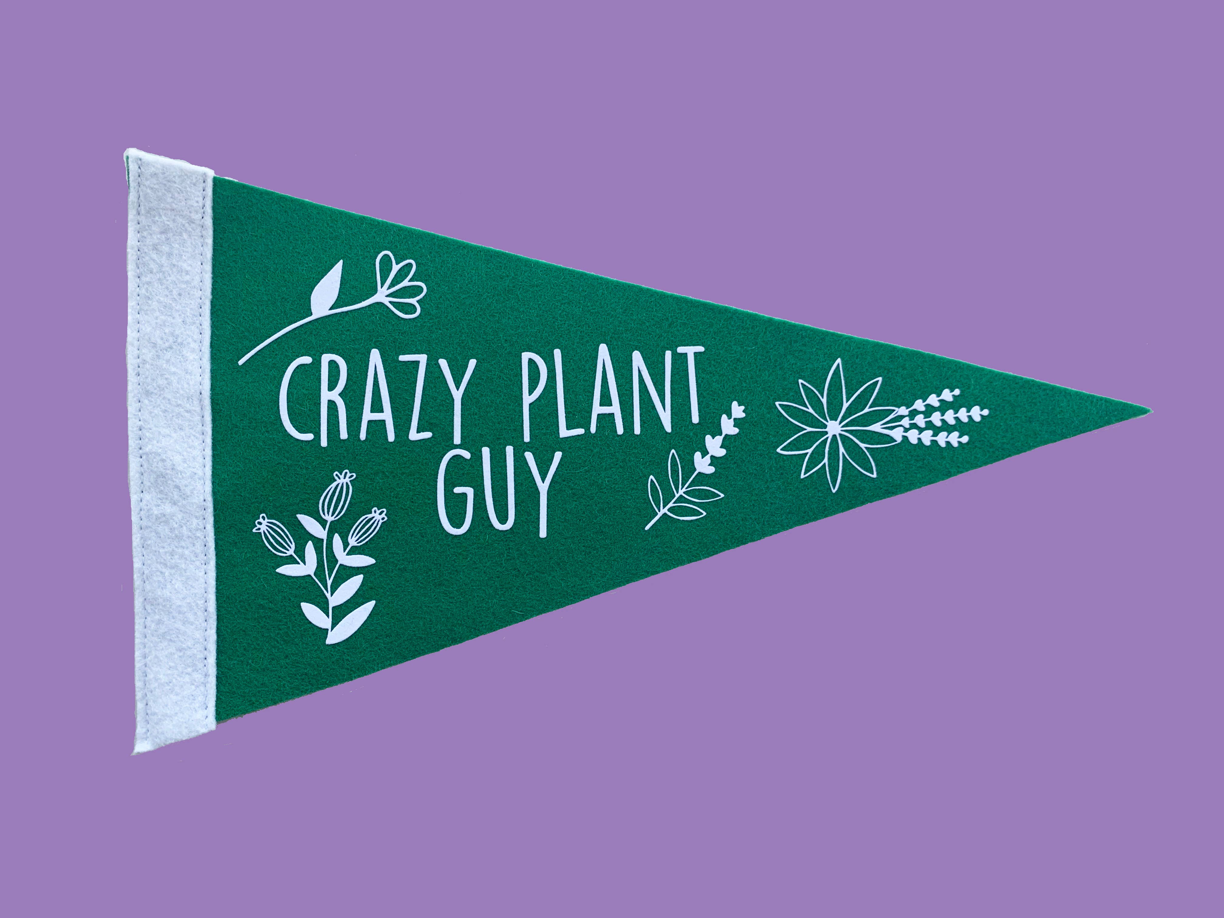 Flair City Supply Co - Wholesale Flag - Crazy Plant Guy Pennant0