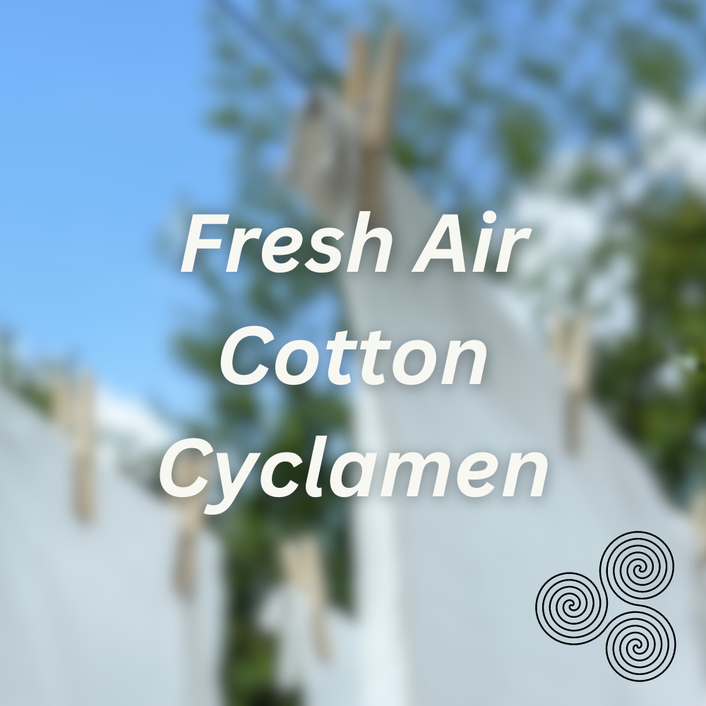 Beau Laundry Co. - Wholesale Fragrance Booster - Laundry Day Scent Booster1