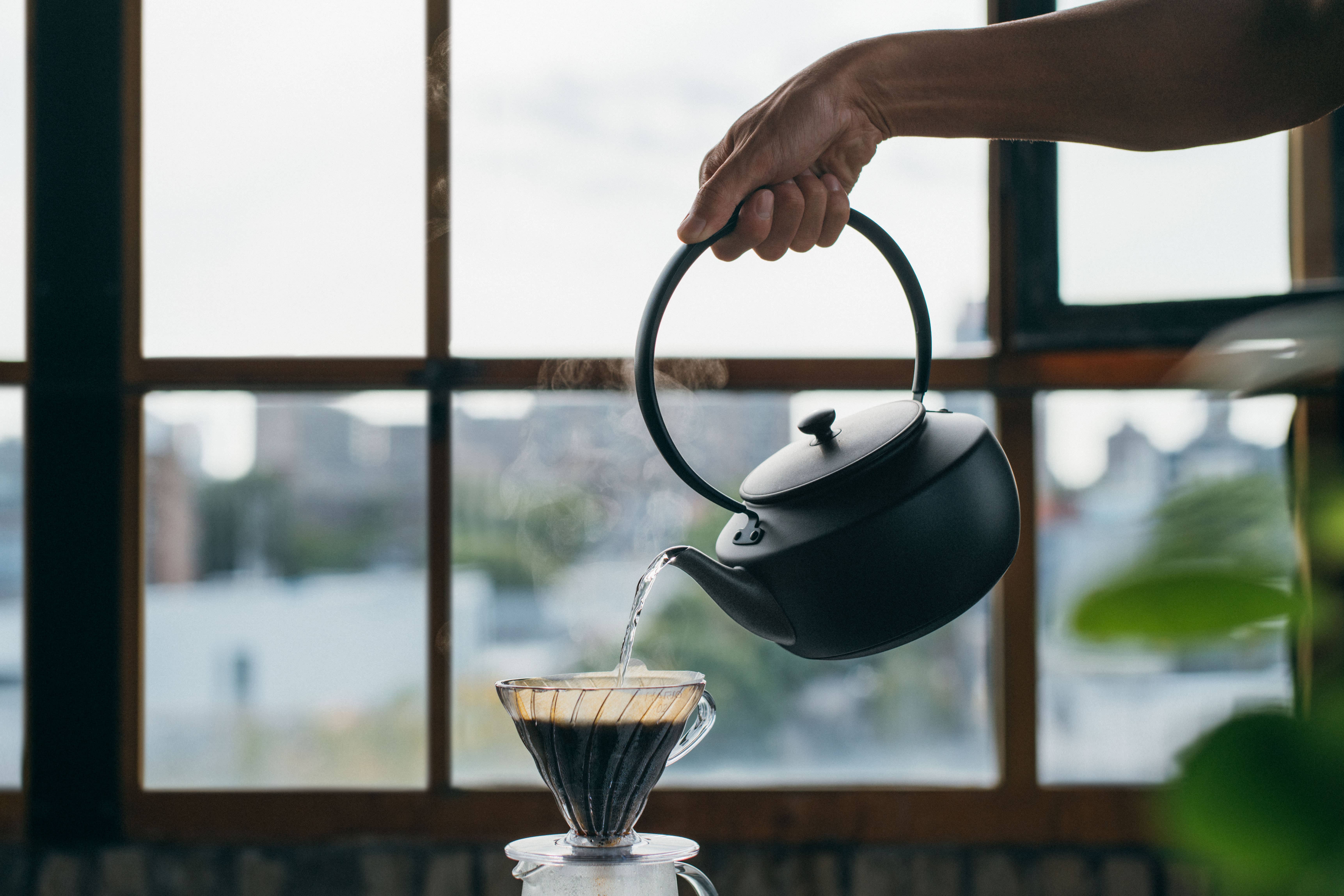 BALMUDA - Wholesale Electric Kettle - MoonKettle Electric Kettle with Temp Control 122°F - 212°F12