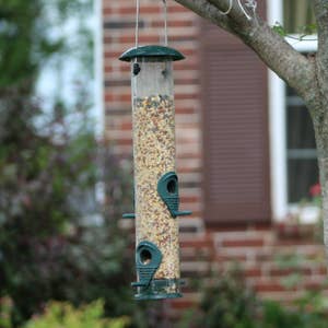 Purchase Wholesale window bird feeder. Free Returns & Net 60 Terms on Faire